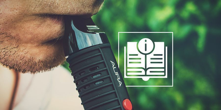 Beginner's Guide To Cannabis Vape Pens Beginner's Guide To Cannabis Vape Pens