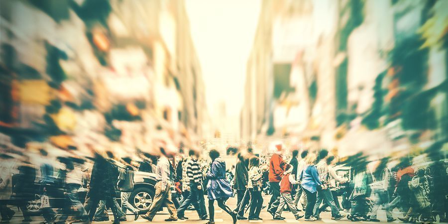 Salvia, czego NIE robić: wybierz się w trip w miejscu publicznym