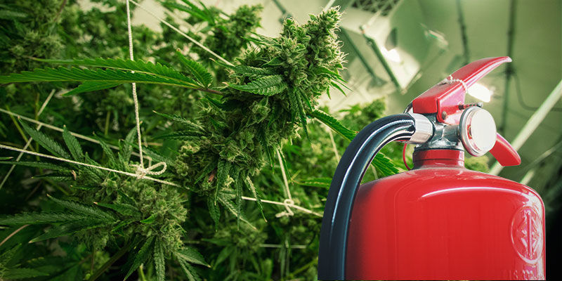 Zapobieganie pożarom w pomieszczeniu do uprawy Zapobieganie pożarom w pomieszczeniu do uprawy