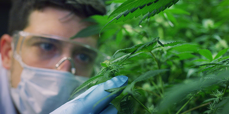 Ochrona przed urazami ciała Ochrona przed urazami ciała