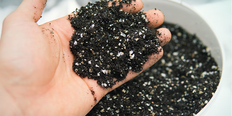 Wskazówki dotyczące utrzymania czystej przestrzeni do uprawy konopi Wskazówki dotyczące utrzymania czystej przestrzeni do uprawy konopi