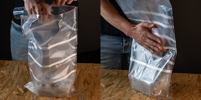 Pielęgnacja growkitów Copelandia Hawaiian