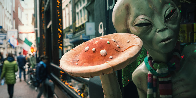 Historia smartshopów