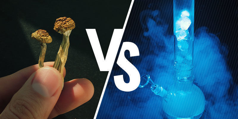 Jaka jest różnica między smartshopami i headshopami?