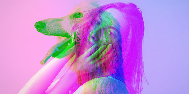 6 wskazówek na udany trip po Magicznych Truflach 6 Tips For A Great Magic Truffle Trip