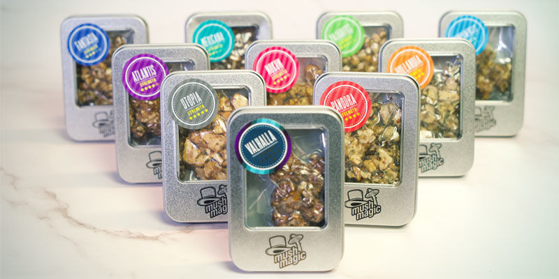 Magic Truffles — Available To Purchase Now Magic Truffles — Available To Purchase Now