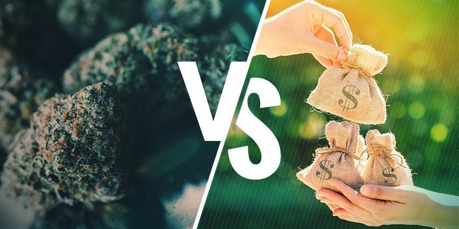 Uprawa hydroponiczna: zalety i wady