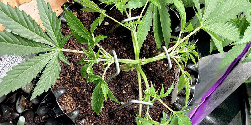 Zaawansowane techniki