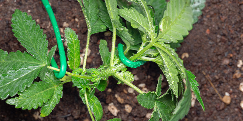 Techniki dla początkujących