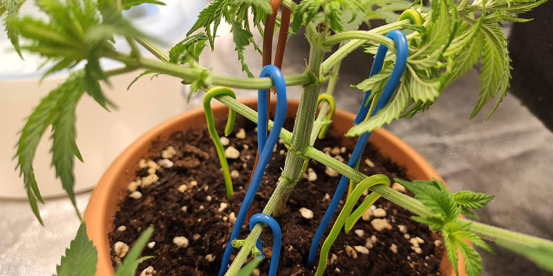 Gotowy, by spróbować treningu?