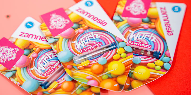 Poznaj świat hybryd F1 już dziś Poznaj świat hybryd F1 już dziś