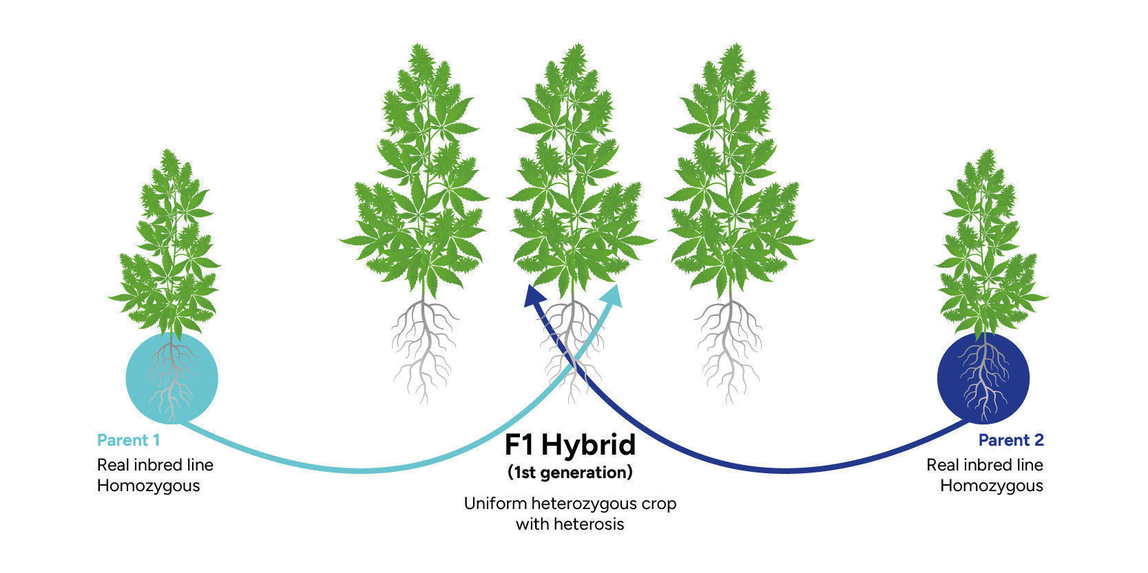 Proces produkcji Proces produkcji