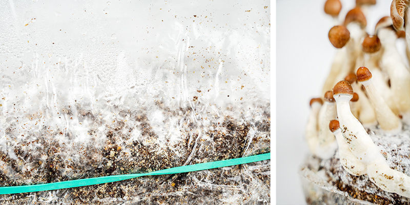 Instrukcja krok po kroku Instrukcja krok po kroku