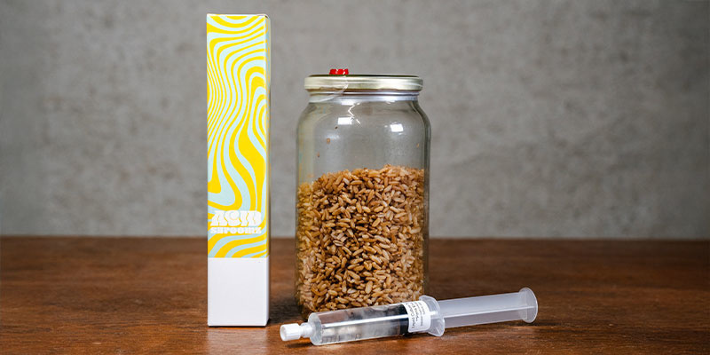 Zrozumieć kulturę płynną Zrozumieć kulturę płynną