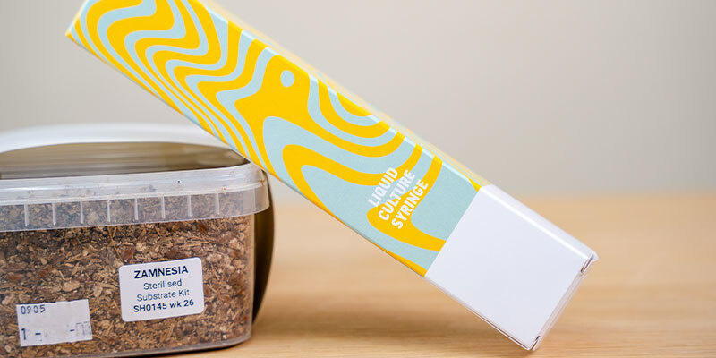 Jak prawidłowo przechowywać kulturę płynną Jak prawidłowo przechowywać kulturę płynną