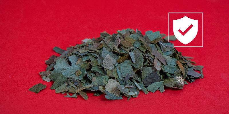 Czy miłorząb japoński (Ginkgo biloba) jest bezpieczny?