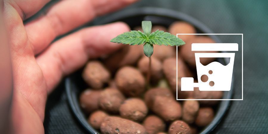 Jak zbudować system DWC Jak zbudować system DWC