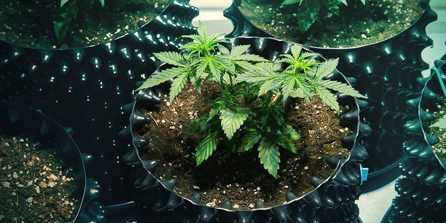 PRZYCINANIE POWIETRZNE