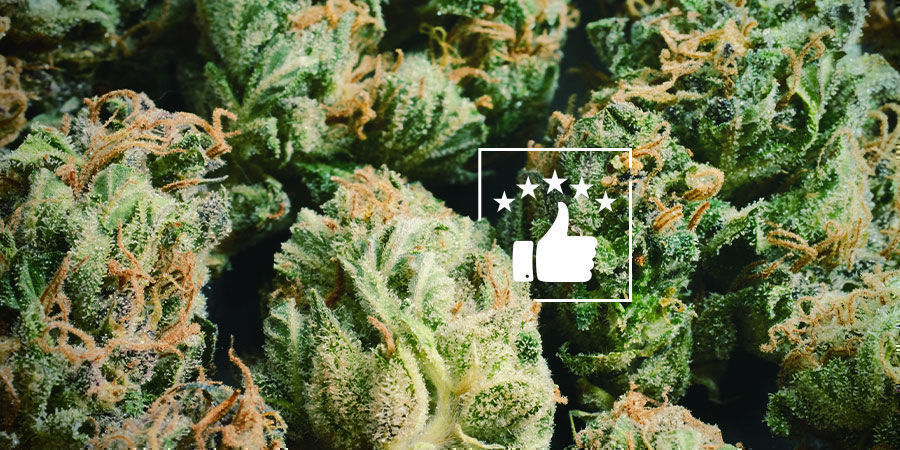 Jakie cechy są warte selekcji przy krzyżowaniu?