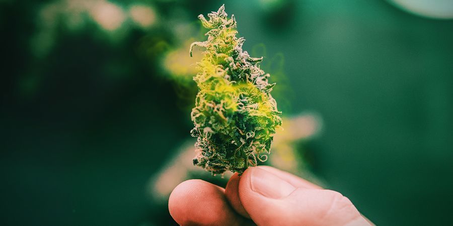 ZALETY I WADY CURINGU WODNEGO