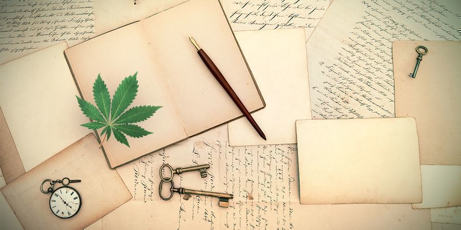 Terapie z użyciem konopi Cannabis therapies