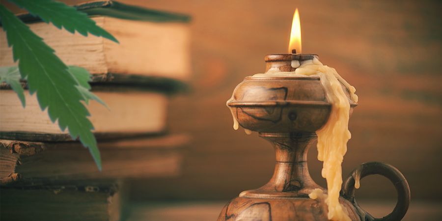 Medyczne zastosowanie konopi w renesansie Medical use of cannabis in the Renaissance