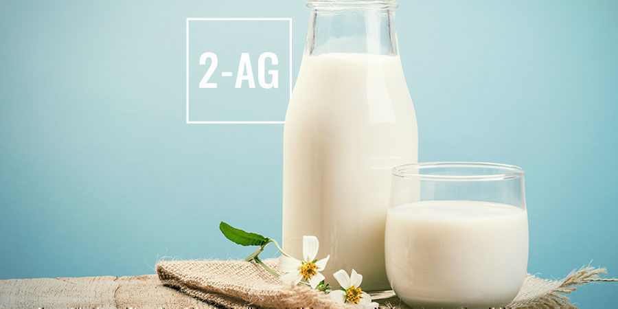 Jak działa CBDV: 2-AG