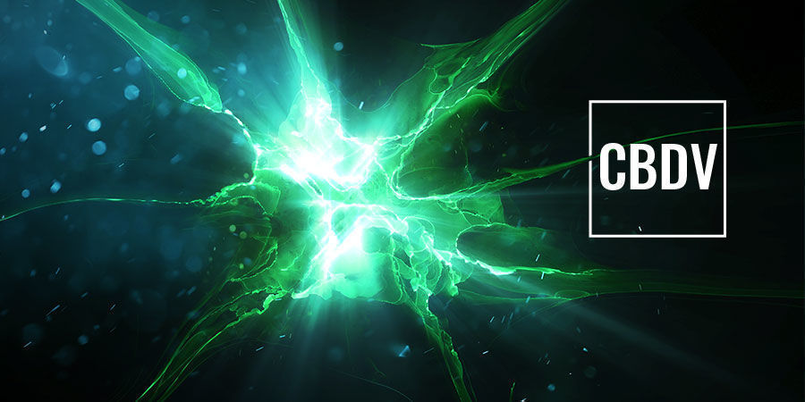 Jak działa CBDV: kanały TRPV