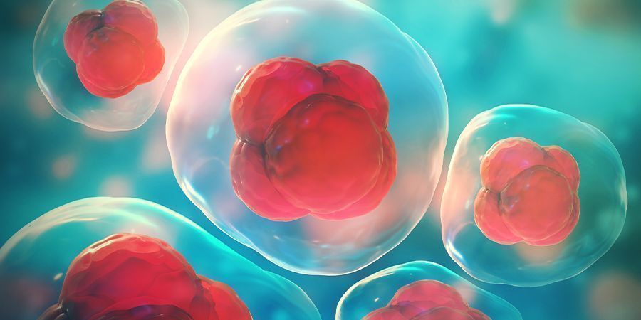 Błona komórkowa MEMBRANE