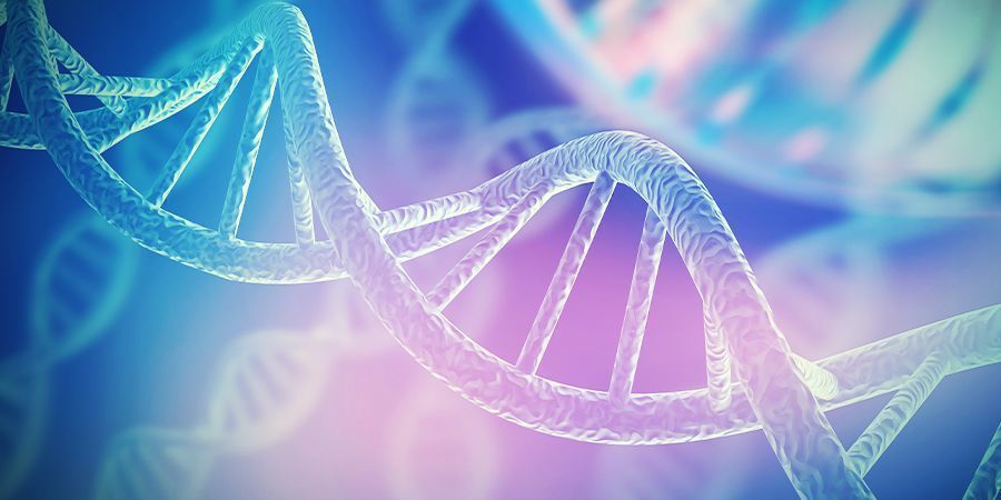 Jądro komórkowe NUCLEUS