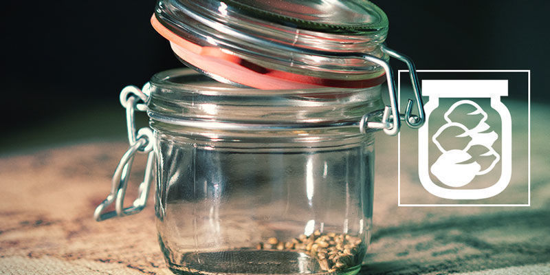 Jaki jest najlepszy sposób przechowywania nasion marihuany?