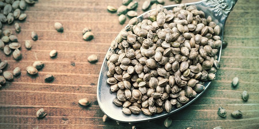 Wprowadzenie do nasion marihuany feminizowanych