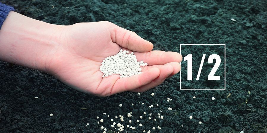 Ile składników odżywczych powinieneś podawać?