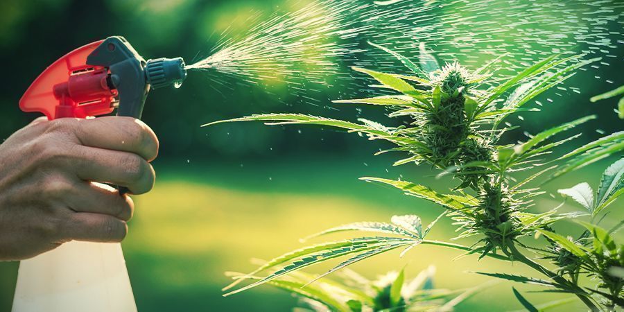 Jak regulować wilgotność