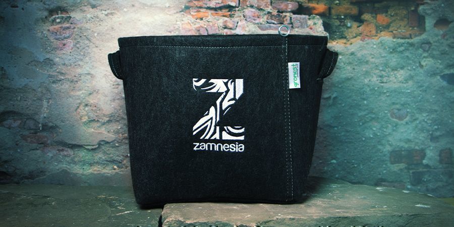 KROK 5: PRZESADŹ SIEJKI KONOPI I WYNIEŚ JE NA ZEWNĄTRZ