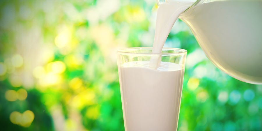 Zwalczanie pleśni, mączniaka i zgnilizny topów