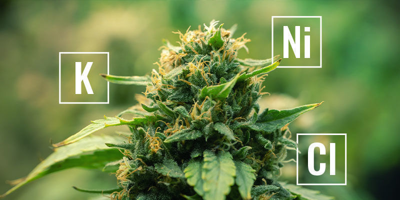 Czym są mobilne składniki odżywcze roślin?