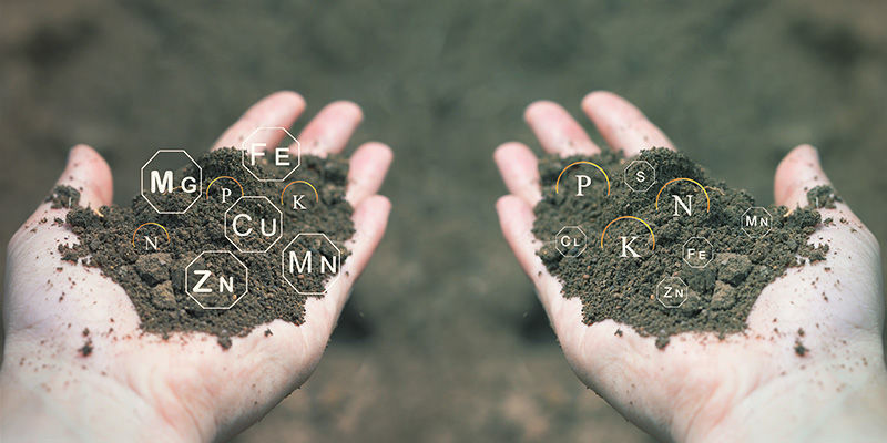 Jak skutecznie używać nawozów