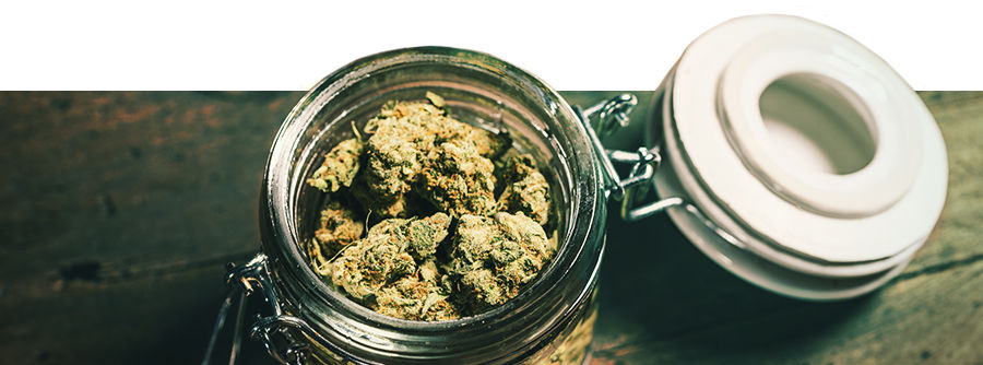 Information About Stash Gear