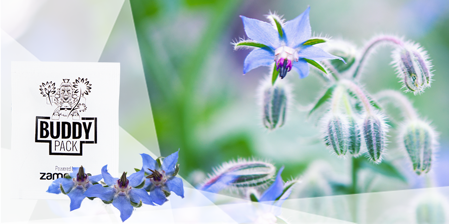 Provide Nutrients And Improve Soil Structure