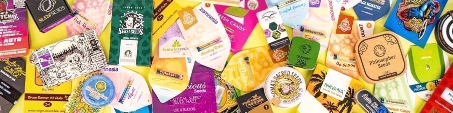 The Different Types Of Cannabis Seeds Sold At Zamnesia The different types of cannabis seeds sold at Zamnesia