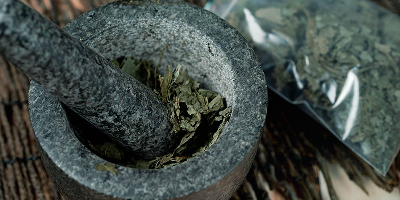 Methods Of Mazatec Indians