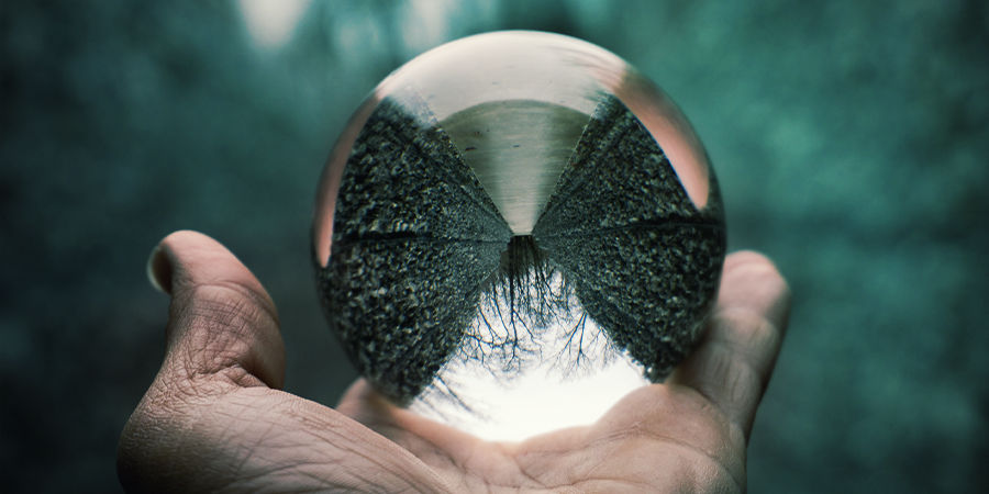 What Are The Effects Of Salvia Divinorum?