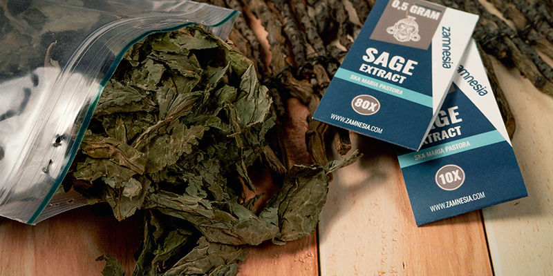 Which Types Of Salvia Are Available?