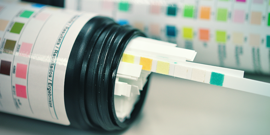 Interakcje kapsułek CBD z testami narkotykowymi i lekami