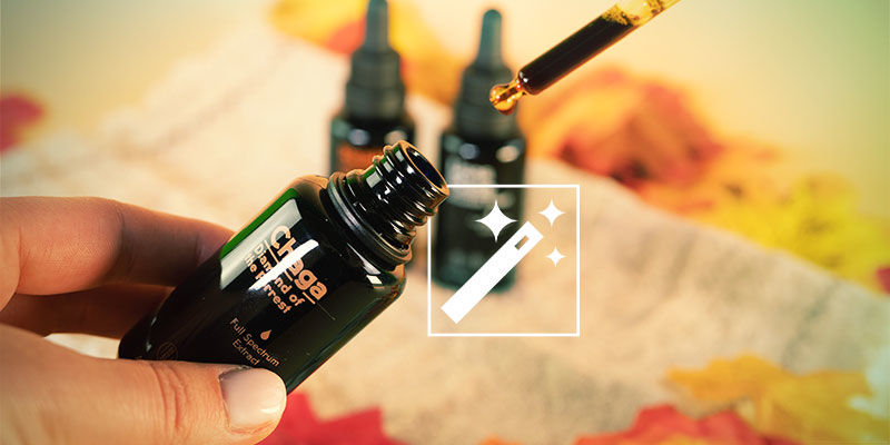 Effects of Mushroom Tinctures