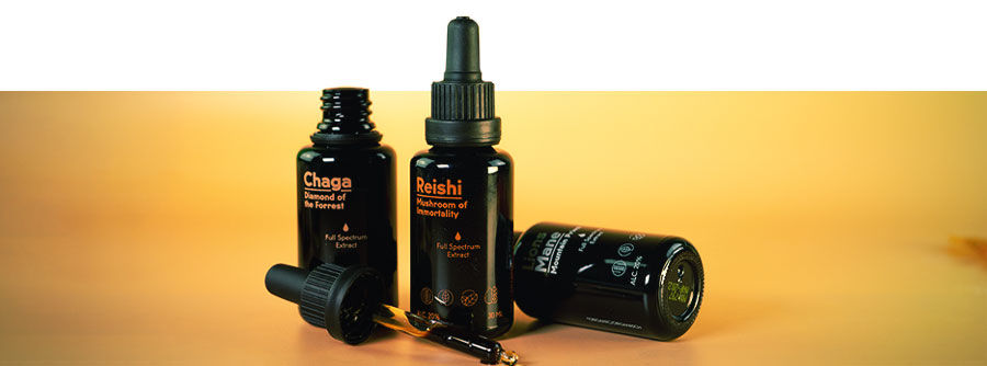 Which Mushroom Supplement Would Suit Me Best