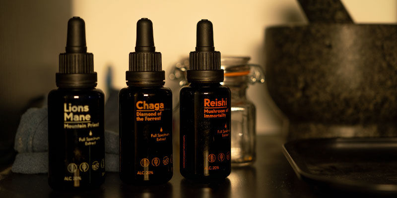 Jak przechowywać nalewkę z grzybów