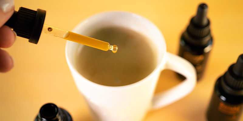 Jak przyjmować nalewkę z grzybów