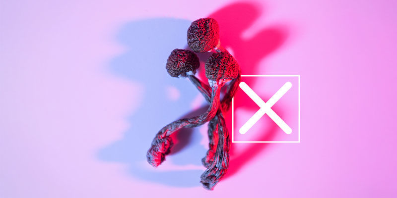 Czy nalewka z grzybów jest psychoaktywna?